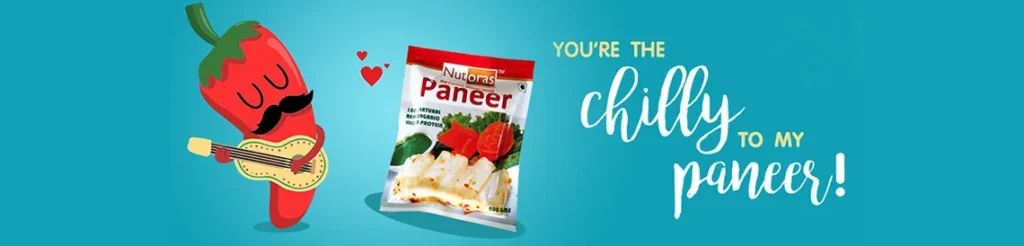 paneer-cat-